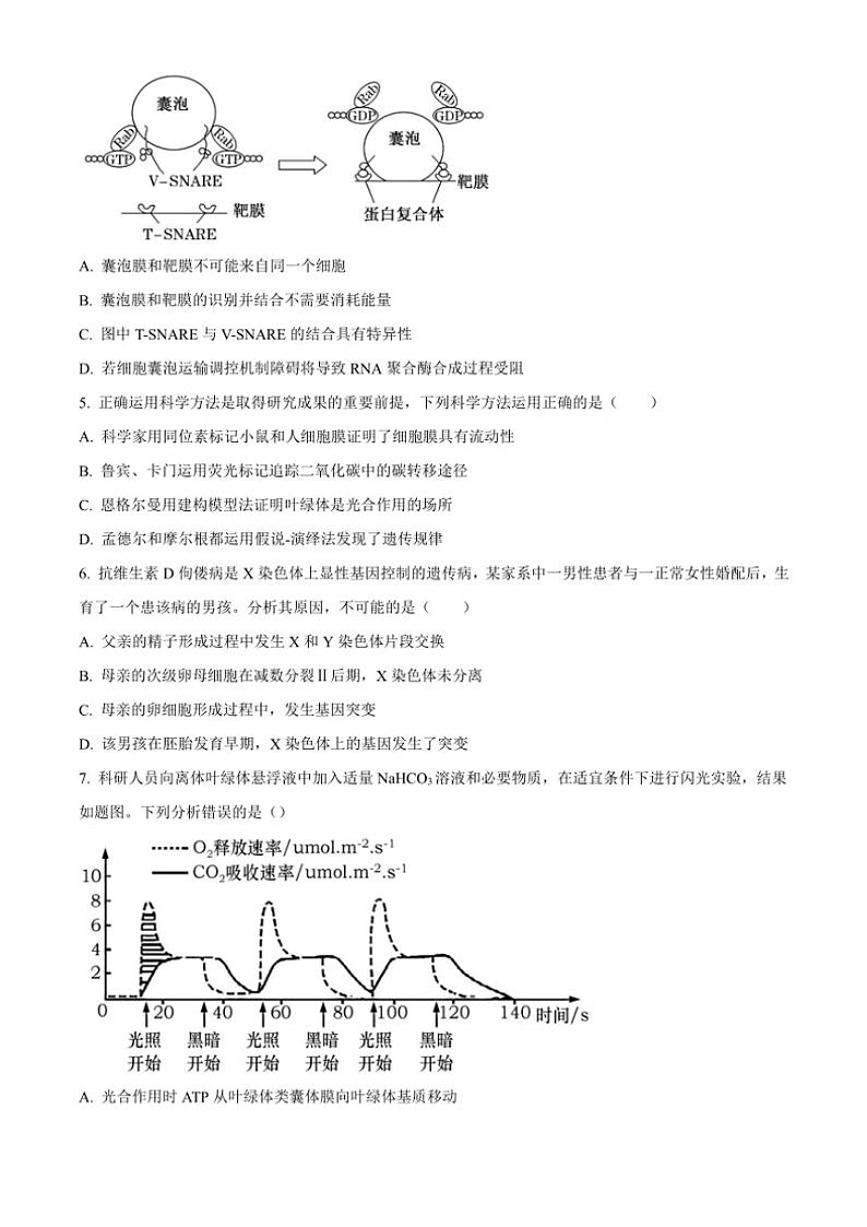 四川省遂宁市蓬溪中学2024~2025学年高三(上)期中生物试卷(含答案)第2页