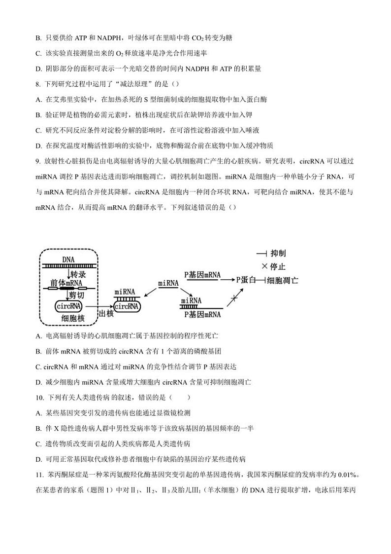 四川省遂宁市蓬溪中学2024~2025学年高三(上)期中生物试卷(含答案)第3页
