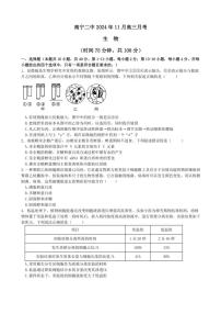 广西壮族自治区南宁市青秀区南宁市第二中学2024～2025学年高三(上)11月月考生物试卷(含答案)