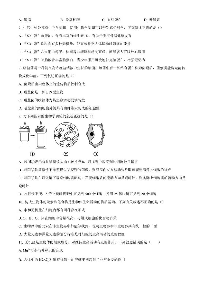 四川省成都市第十二中学(四川大学附属中学)2024~2025学年高一(上)期中生物试卷(含答案)第2页