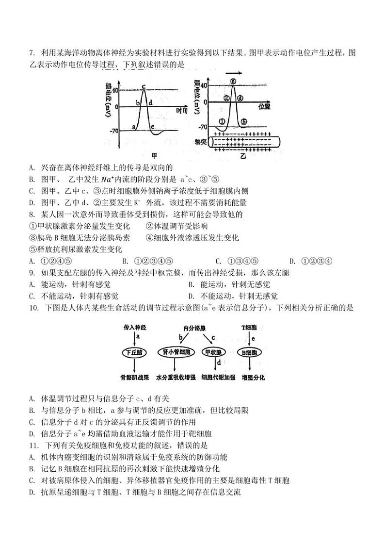 黑龙江省牡丹江市第一高级中学2024~2025学年高二(上)期中生物试卷(含答案)02