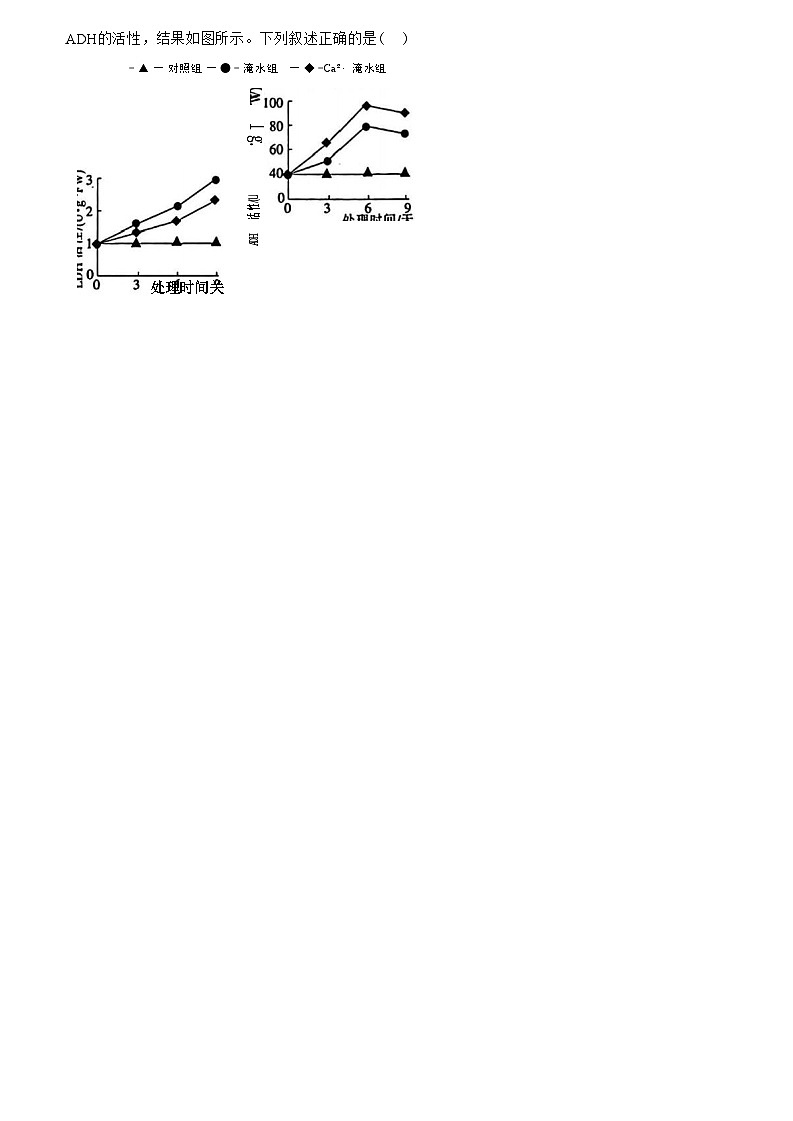 2025江西省稳派上进联考高三上学期11月阶段检测考试生物试题含解析第3页