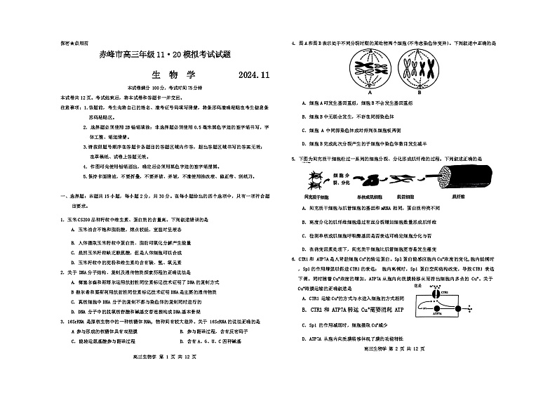 内蒙古赤峰市2024-2025学年高三上学期11月期中联考生物试题无答案第1页
