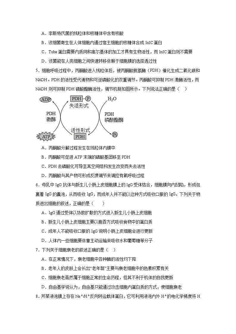 2025岳阳临湘高三上学期11月期中生物试题含答案第2页