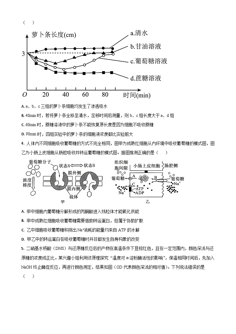 2025泰安高三上学期11月期中考试生物试题含解析第2页