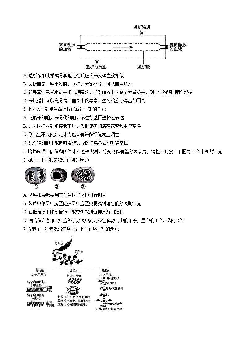 江西省萍乡实验学校暨长郡十八校联考2024-2025学年高三上学期月考四生物试题第2页
