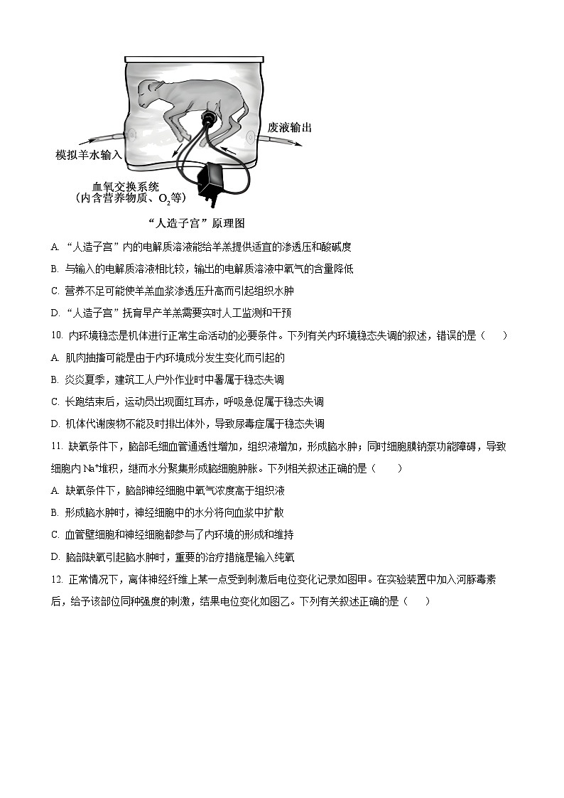 广东省深圳市深圳盟校2024-2025学年高二上学期11月期中考试生物试题无答案第3页