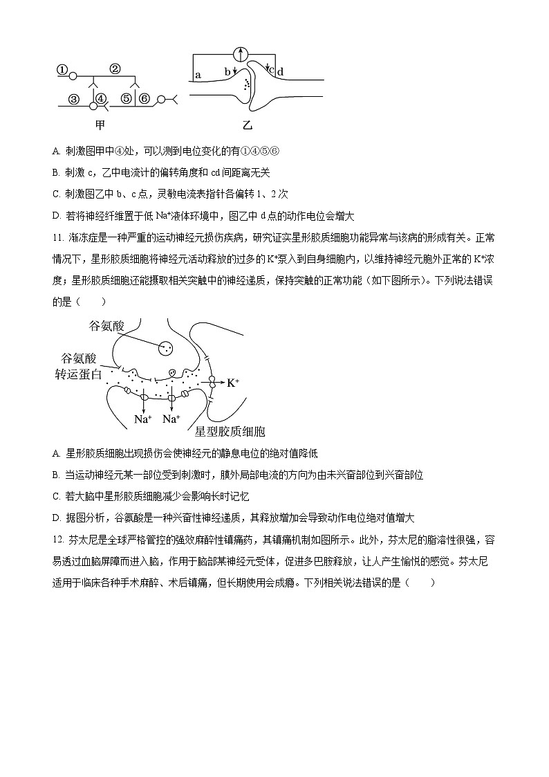 福建省福州市9校2024-2025学年高二上学期11月期中生物试题(原卷版)-A4第3页