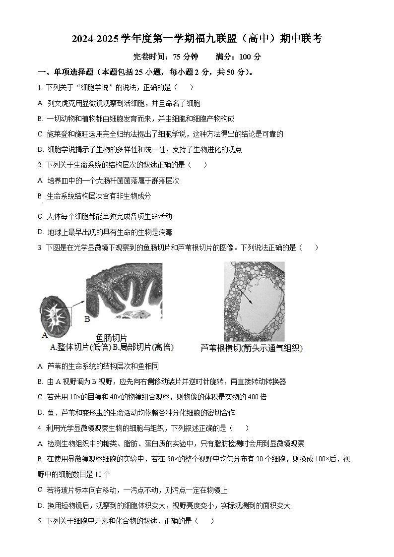 福建省福州市福9联盟校2024-2025学年高一上学期11月期中生物试题(原卷版)-A4第1页