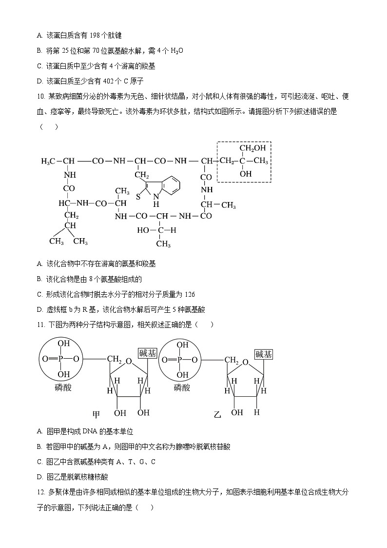 福建省福州市福9联盟校2024-2025学年高一上学期11月期中生物试题(原卷版)-A4第3页