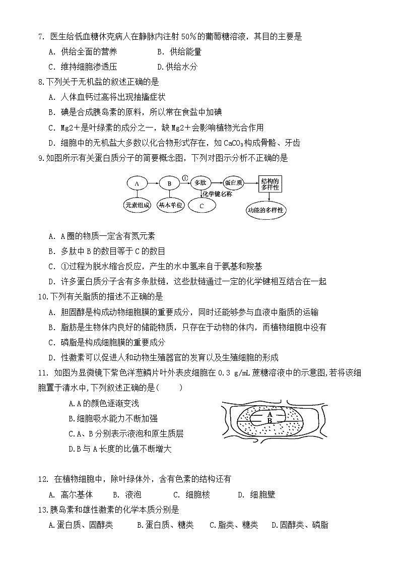 福建省龙岩市侨育中学2024-2025学年高一上学期期中考试生物试题-A4第2页