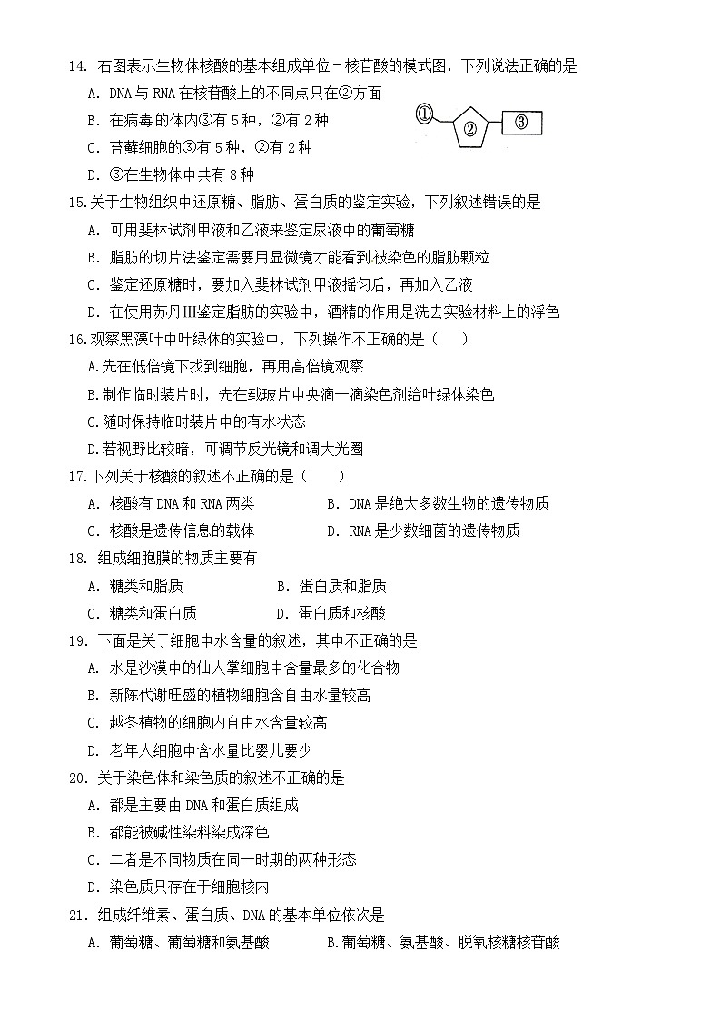 福建省龙岩市侨育中学2024-2025学年高一上学期期中考试生物试题-A4第3页
