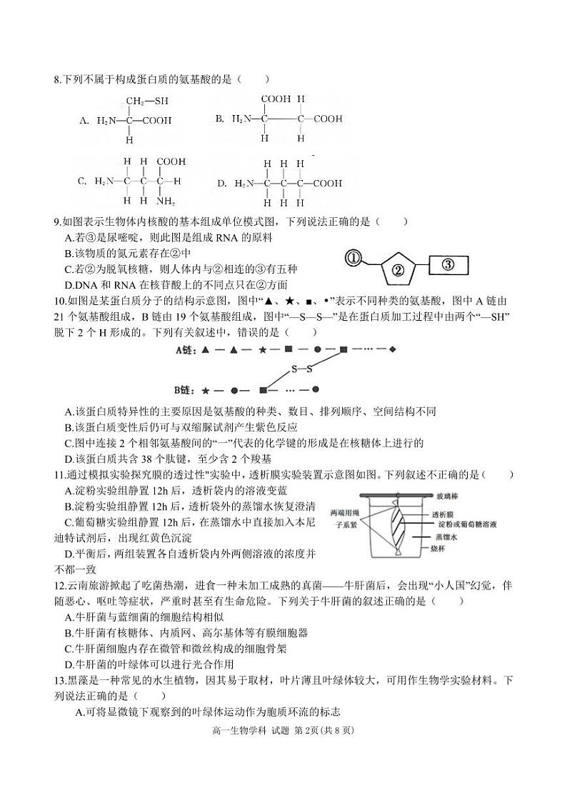 浙江省五湖联盟2024—2025学年高一上学期期中考试生物试题02
