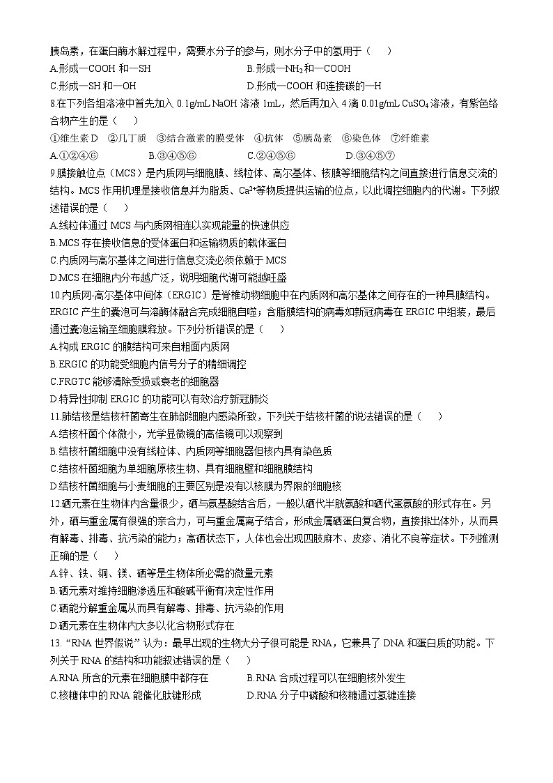山东省青岛第十九中学2024-2025学年高一上学期11月期中考试生物试题(无答案)第2页