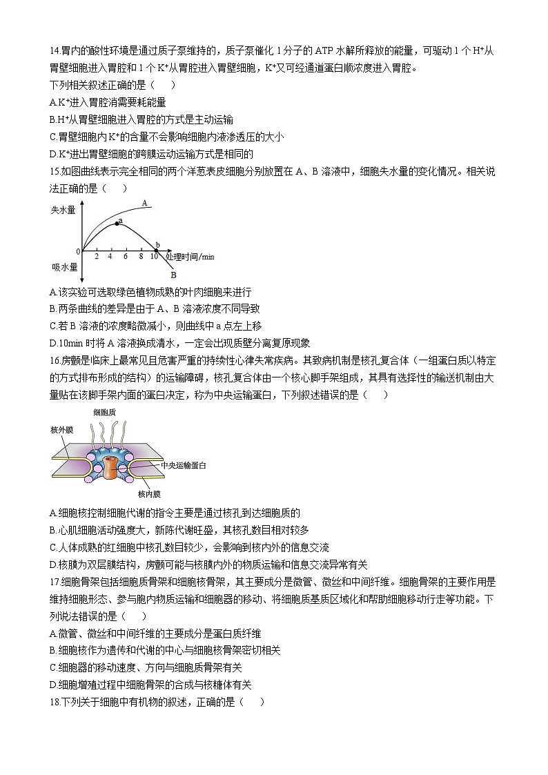 山东省青岛第十九中学2024-2025学年高一上学期11月期中考试生物试题(无答案)第3页