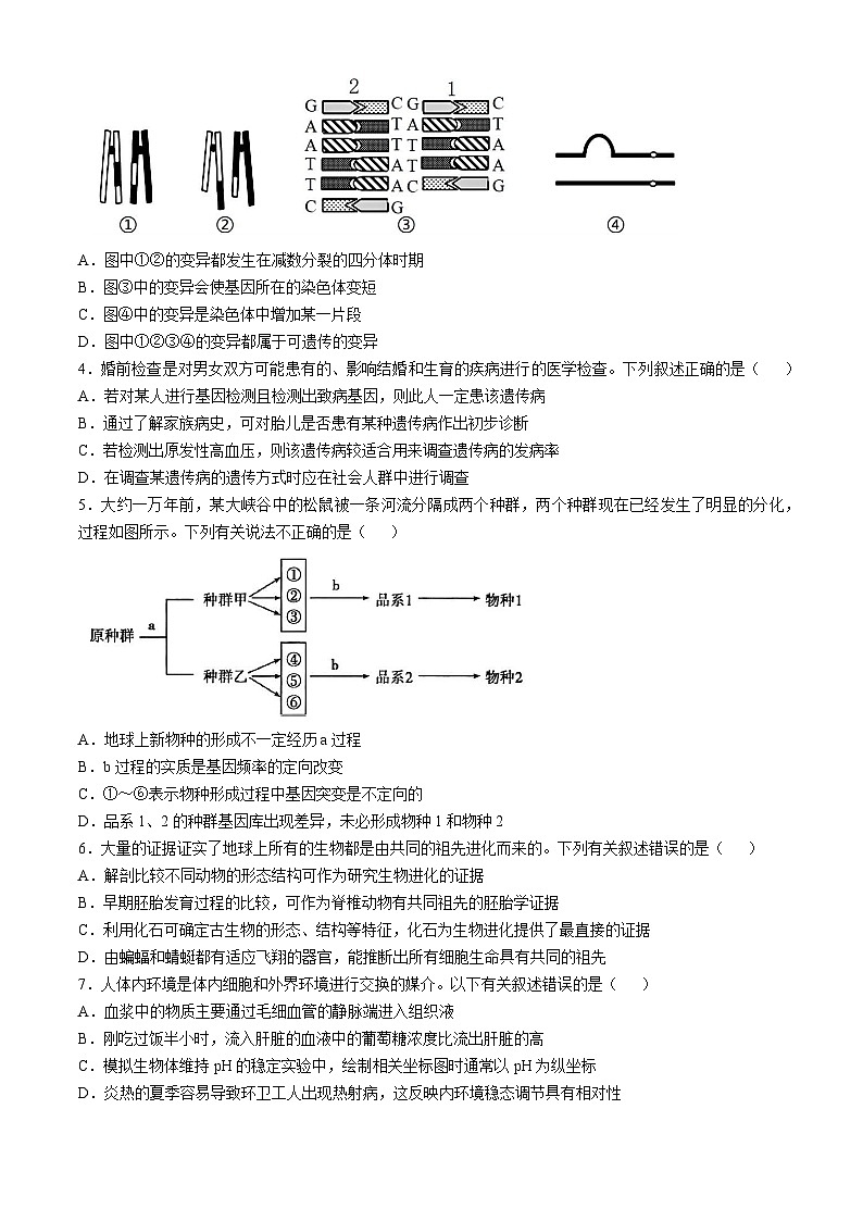 安徽省蚌埠市懷遠(yuǎn)縣2024-2025學(xué)年高二上學(xué)期11月期中考試生物試卷（Word版附答案）第2頁