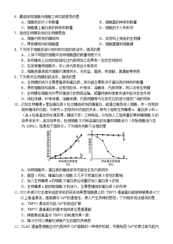 湖北省荆州市沙市中学2024-2025学年高一上学期11月月考生物试卷第2页