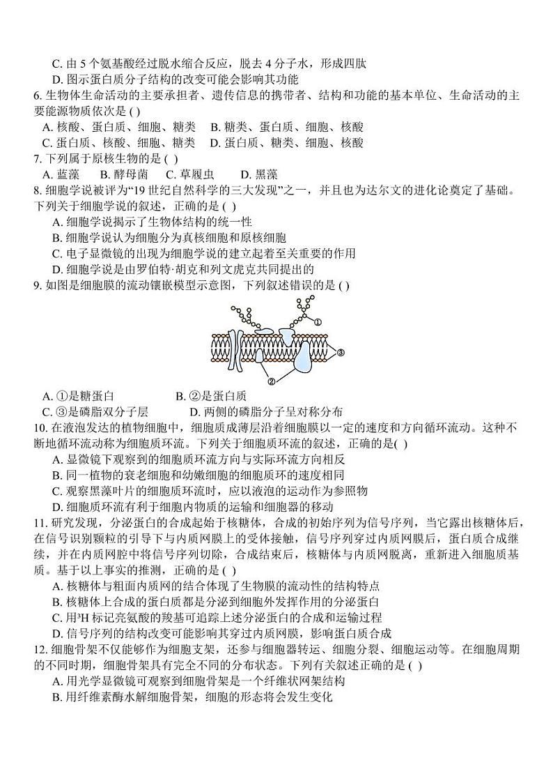 生物试题第2页