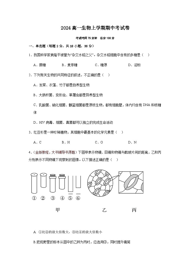 湖北省黄冈市黄梅县育才高级中学2024-2025学年高一上学期11月期中生物试题第1页