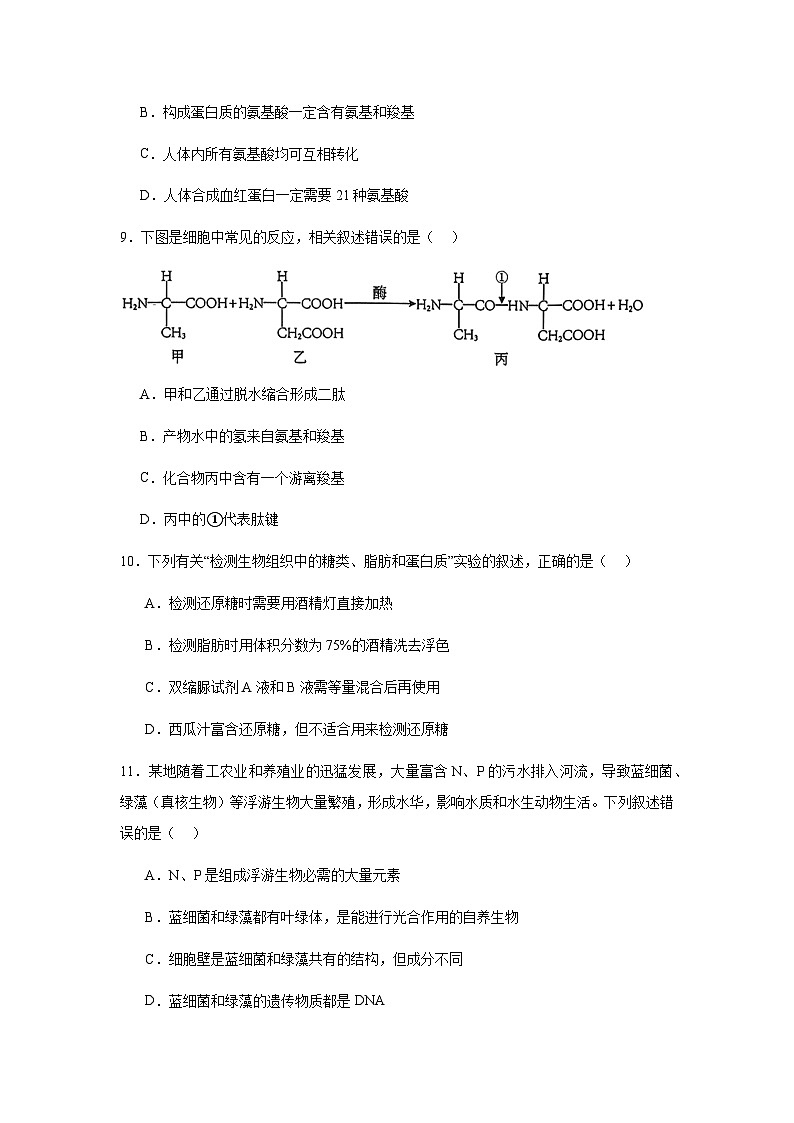 湖北省黄冈市黄梅县育才高级中学2024-2025学年高一上学期11月期中生物试题第3页