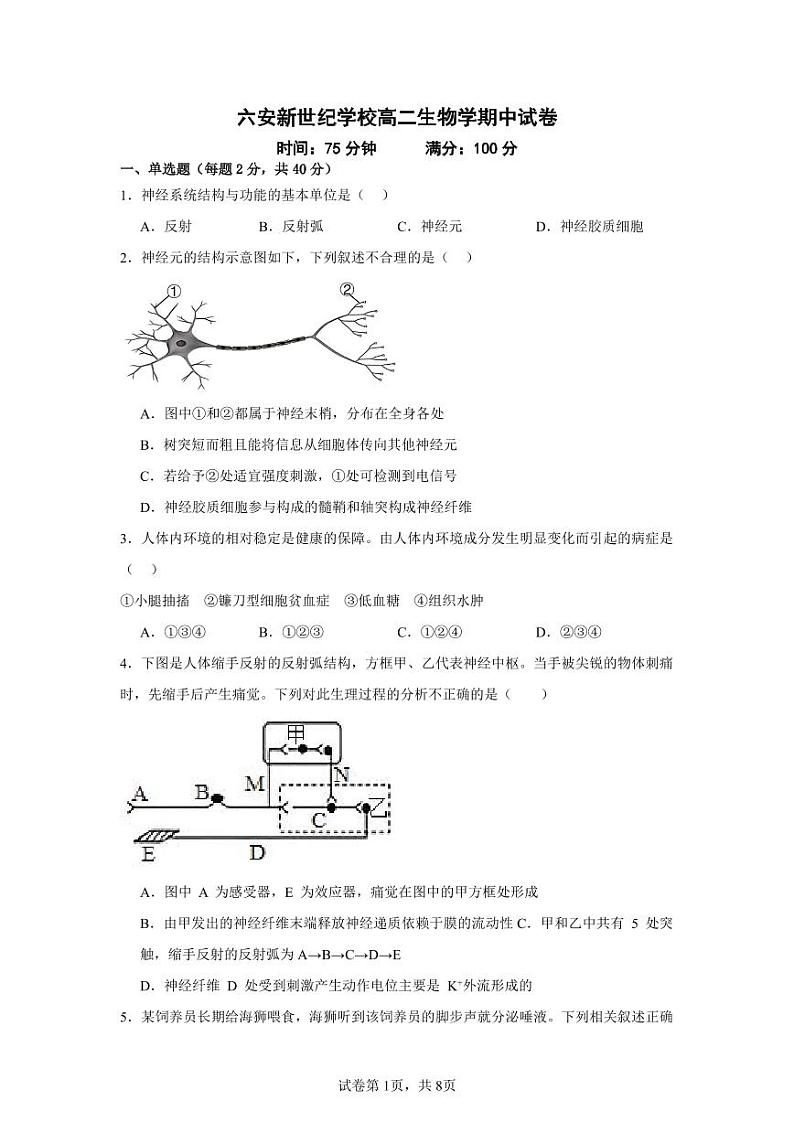 安徽省六安市裕安区六安新世纪学校2024-2025学年高二上学期11月期中生物试题第1页