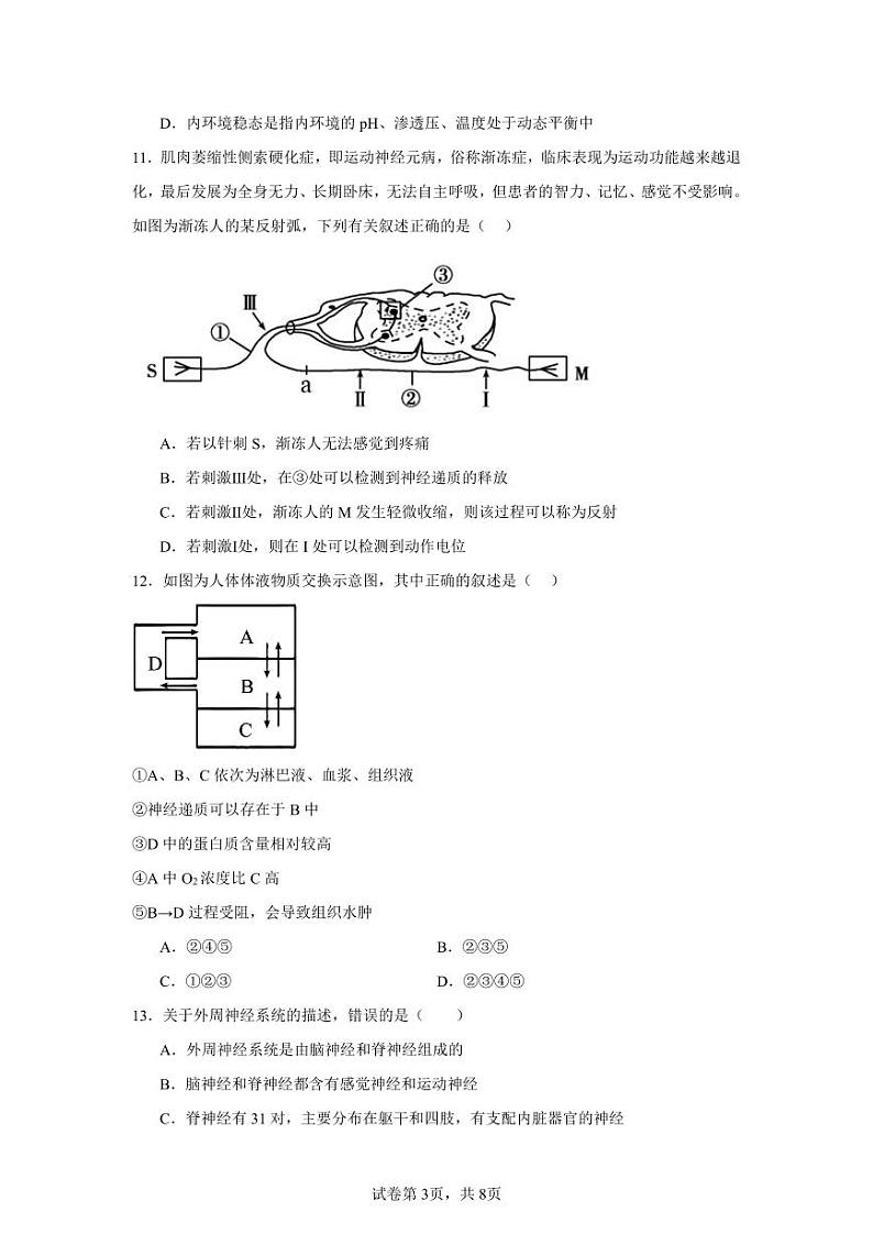 安徽省六安市裕安区六安新世纪学校2024-2025学年高二上学期11月期中生物试题第3页