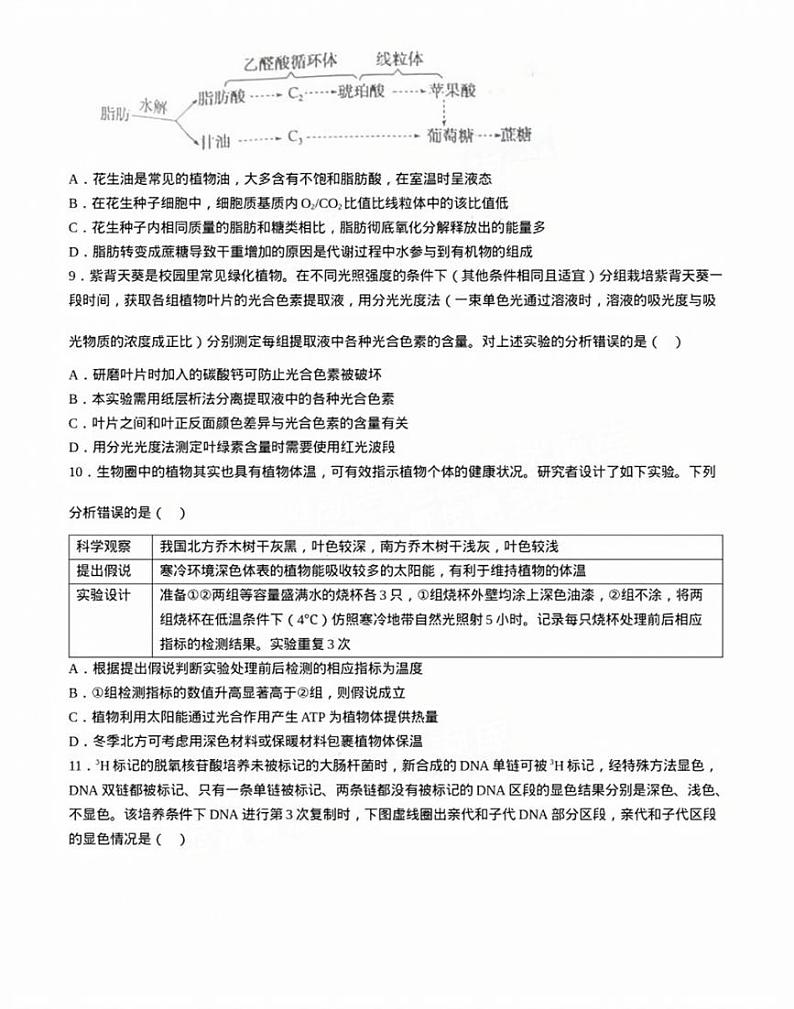2025届广东省佛山市顺德区高三上学期11月考-生物试卷+答案03