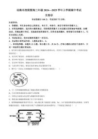 2025届河北省沧衡名校联盟高三上学期11月期中考-生物试题+答案