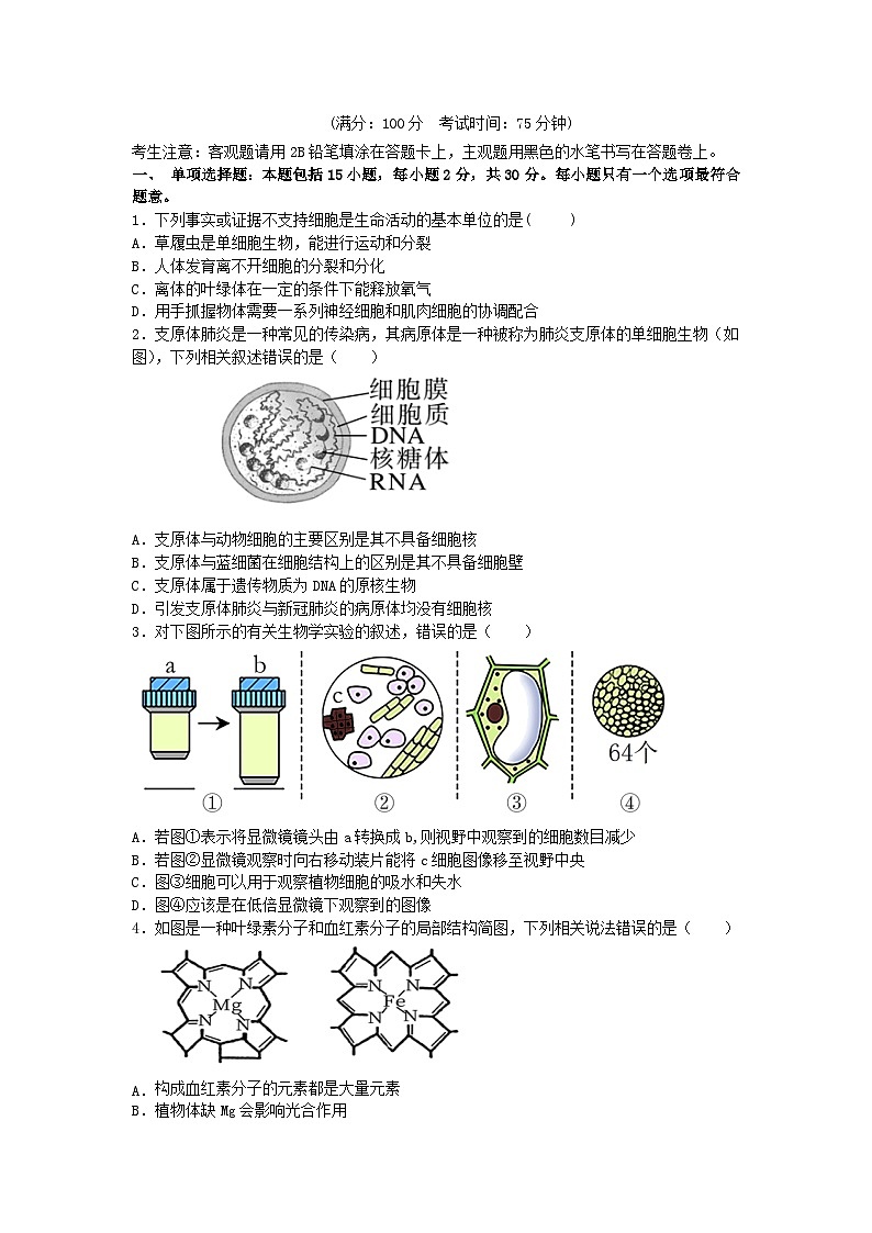 江苏省无锡市江阴市四校2023_2024学年高一生物上学期期中联考试题第1页