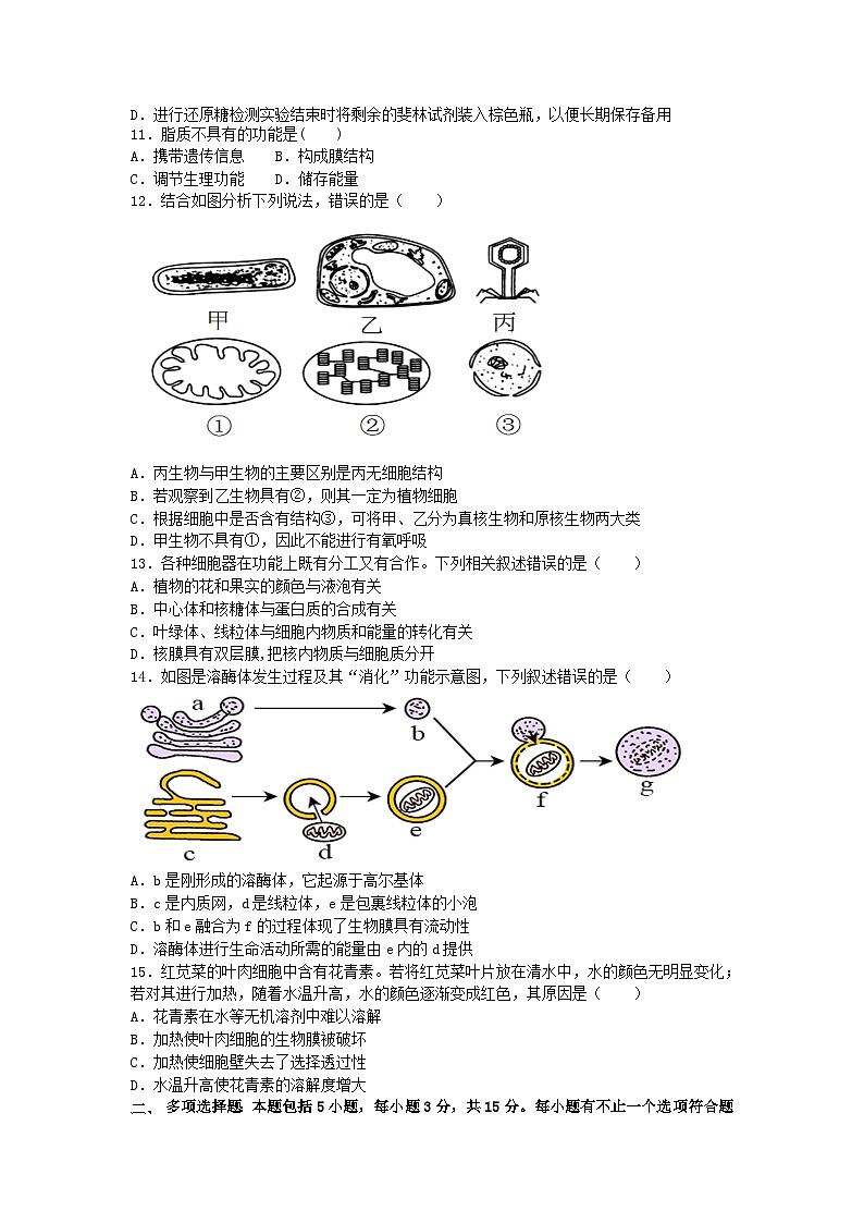 江苏省无锡市江阴市四校2023_2024学年高一生物上学期期中联考试题第3页