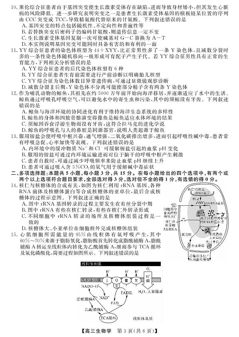 2025届河南省金科新未来大联考高三上学期11月考-生物试题+答案第3页