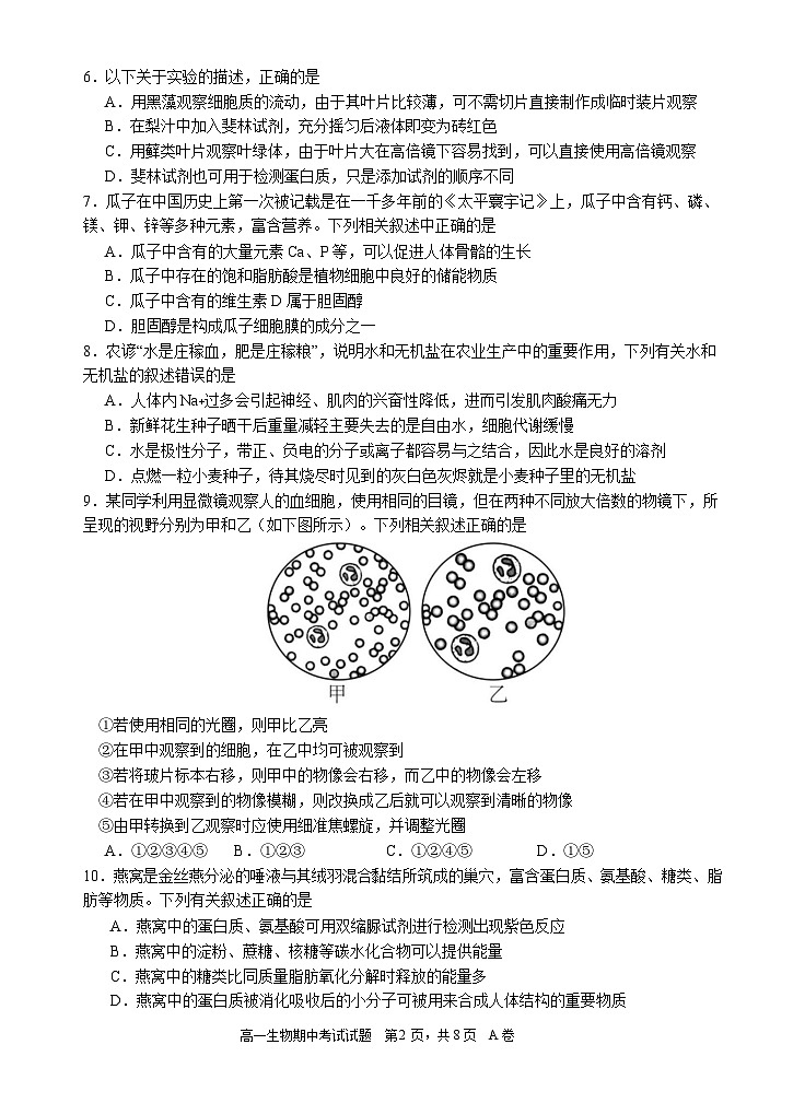 广东省深圳中学2024-2025学年高一上学期期中考试生物试题第2页