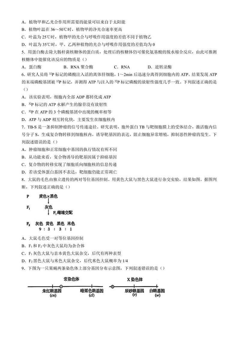 北京市通州区2024~2025学年高三(上)期中质量检测生物试卷(含答案)第2页