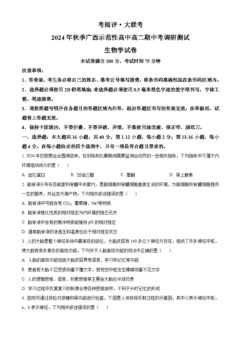 广西壮族自治区示范性高中2024-2025学年高二上学期11月期中考试生物试题 Word版无答案第1页