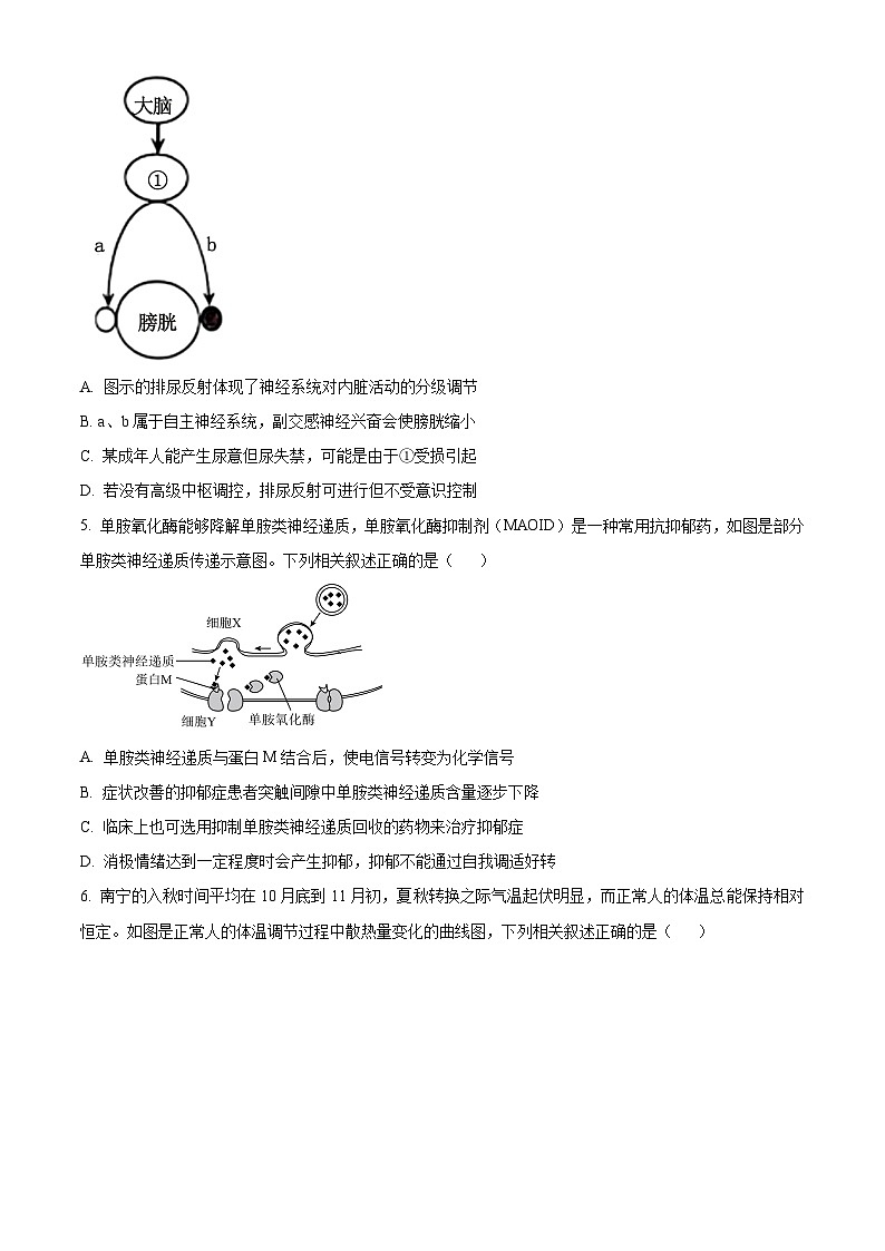 广西壮族自治区示范性高中2024-2025学年高二上学期11月期中考试生物试题 Word版无答案第2页
