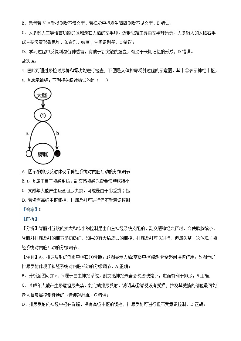 广西壮族自治区示范性高中2024-2025学年高二上学期11月期中考试生物试题 Word版含解析第3页