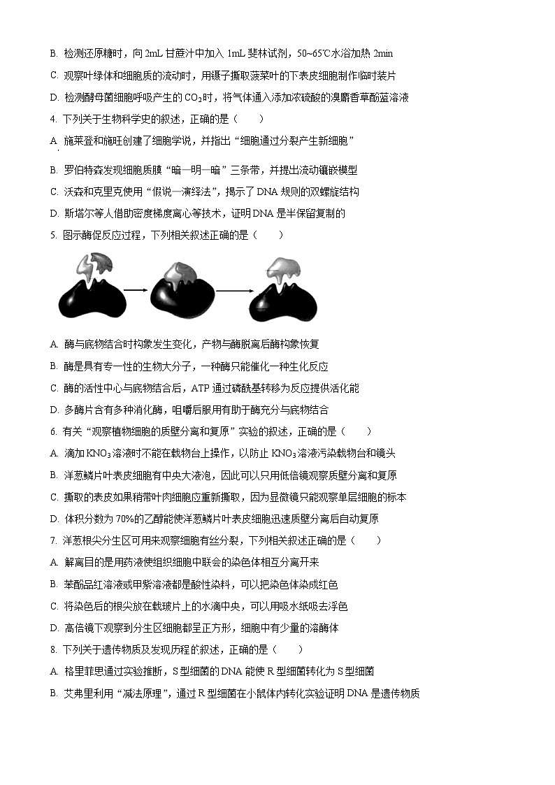 江苏省连云港市2024-2025学年高三上学期期中考试生物试题  Word版无答案第2页