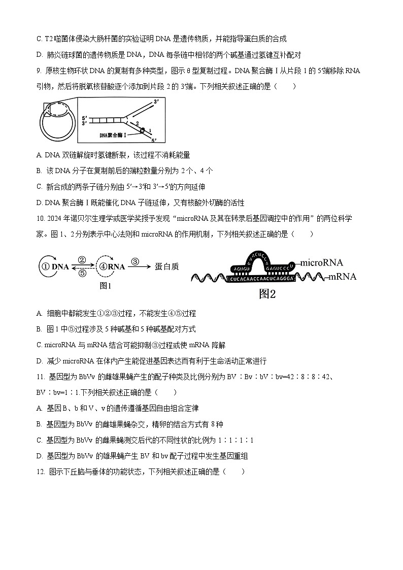 江苏省连云港市2024-2025学年高三上学期期中考试生物试题  Word版无答案第3页