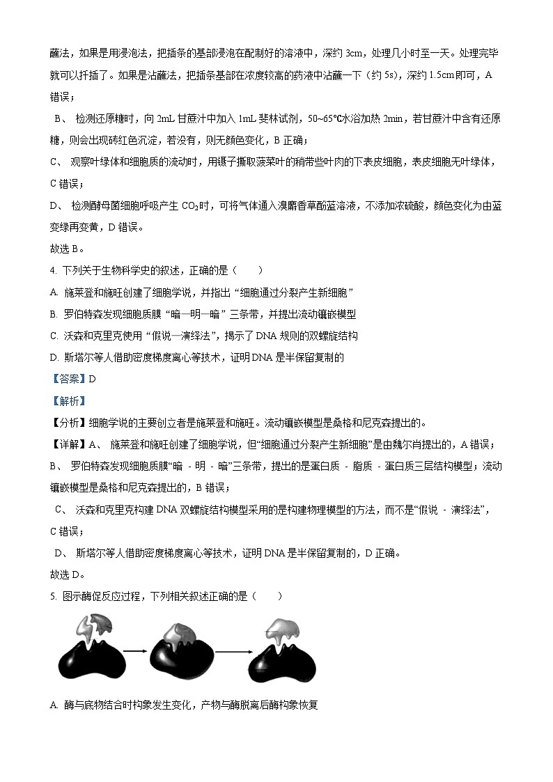 江苏省连云港市2024-2025学年高三上学期期中考试生物试题  Word版含解析第3页