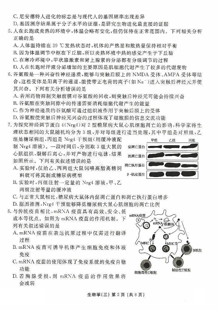 2025沧州三校联考高三上学期11月期中考试生物PDF版含解析第2页