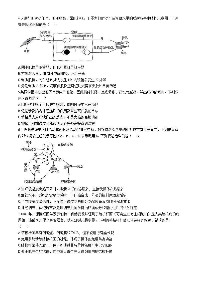 2025河南省部分学校大联考高二上学期11月期中考试生物含答案第2页