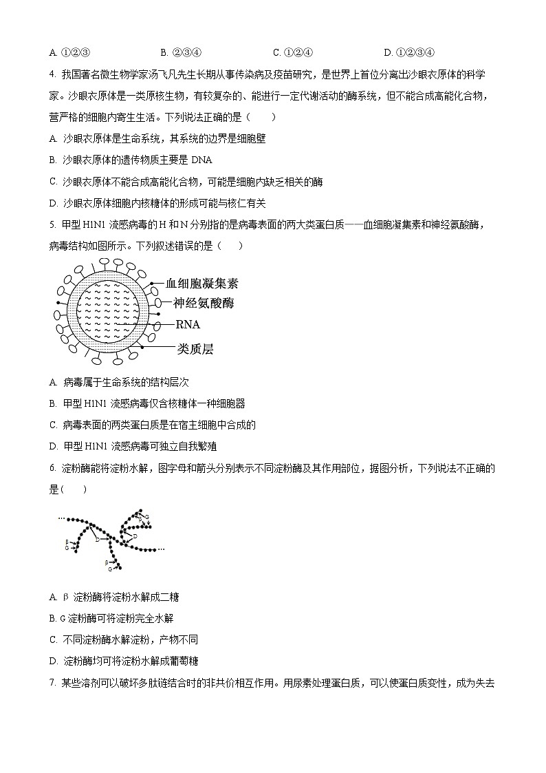 陕西省西安市部分学校联考2024-2025学年高一上学期11月期中生物试题无答案第2页