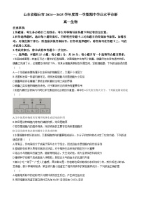 2025烟台高一上学期11月期中考试生物含答案