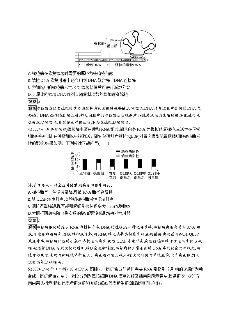 备战2025年高考二轮复习生物(广东专版)大单元5 遗传的分子基础、变异与进化 层级二关键突破提升练(Word版附解析)第2页