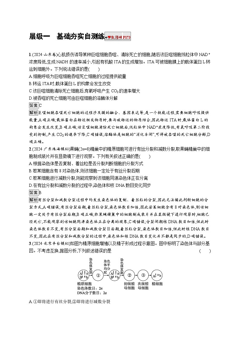 备战2025年高考二轮复习生物(广东专版)大单元3 细胞的增殖、分化、衰老和死亡等生命历程 层级一基础夯实自测练(Word版附解析)第1页