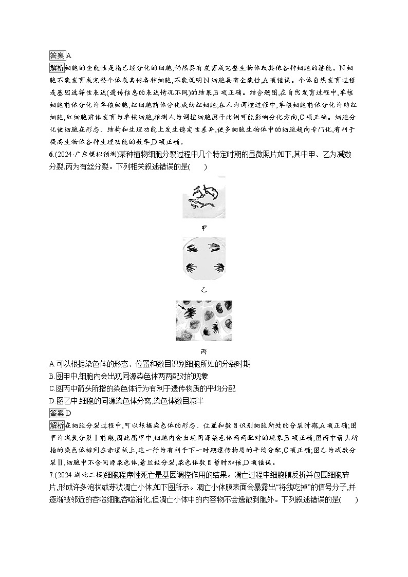 备战2025年高考二轮复习生物(广东专版)大单元3 细胞的增殖、分化、衰老和死亡等生命历程 层级一基础夯实自测练(Word版附解析)第3页