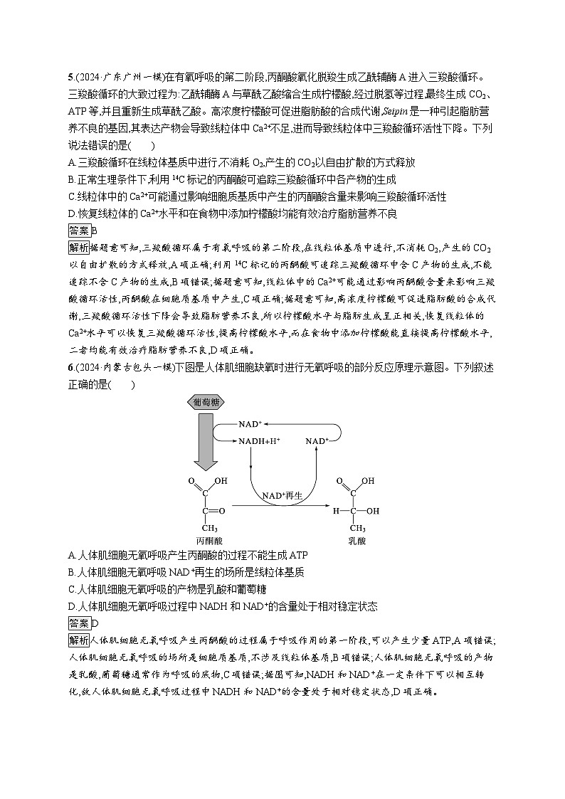 备战2025年高考二轮复习生物(广东专版)大单元2 细胞的生存需要能量和营养物质 层级二关键突破提升练(Word版附解析)第3页