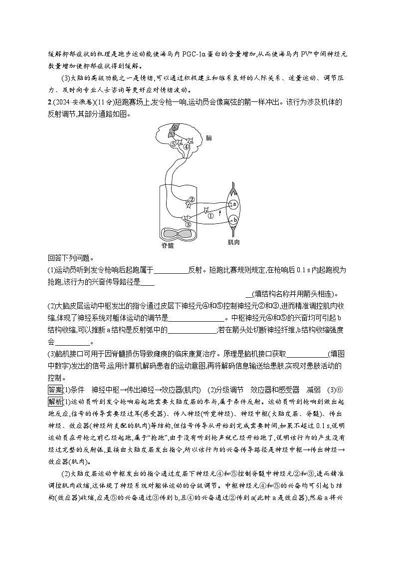 备战2025年高考二轮复习生物(湖南版)大题分析与表达练4个体生命活动的调节(Word版附解析)第2页