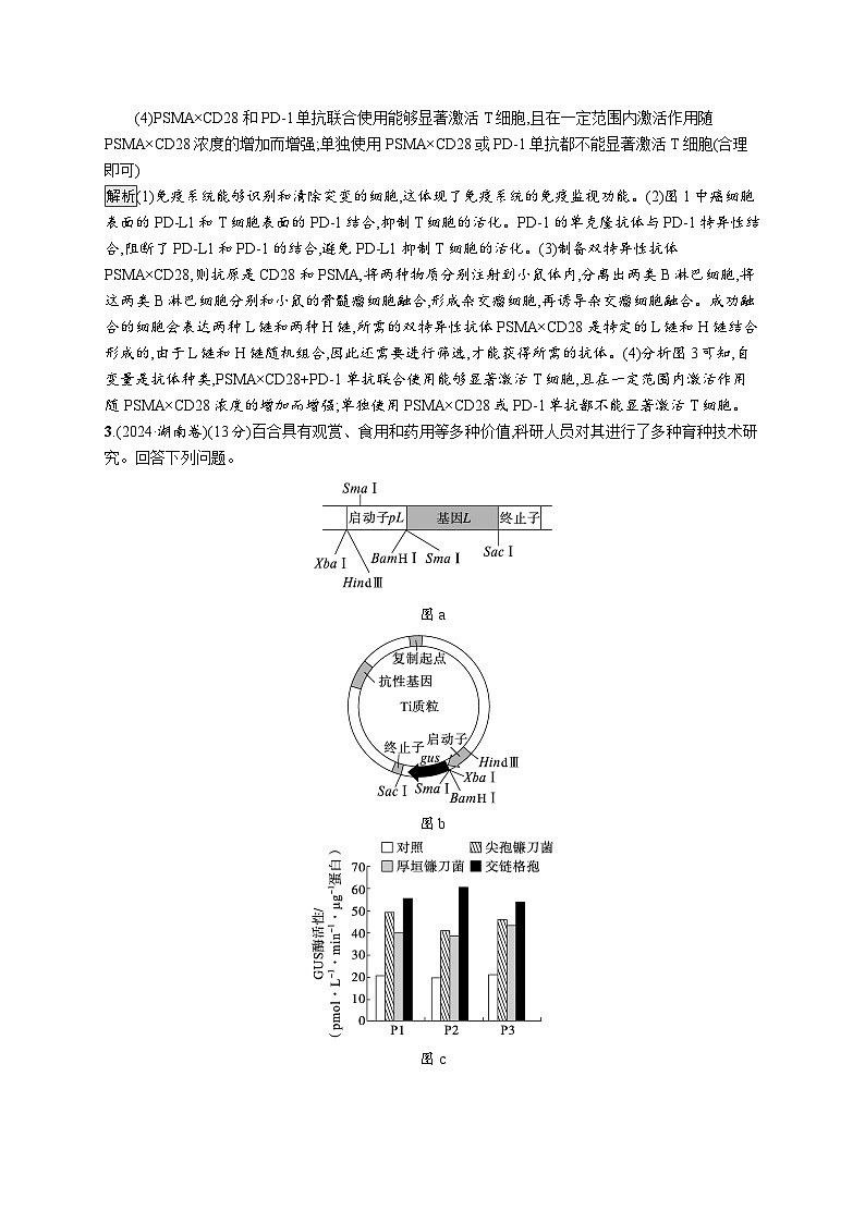 备战2025年高考二轮复习生物(河北版)大题分析与表达练6生物技术与工程(Word版附解析)03