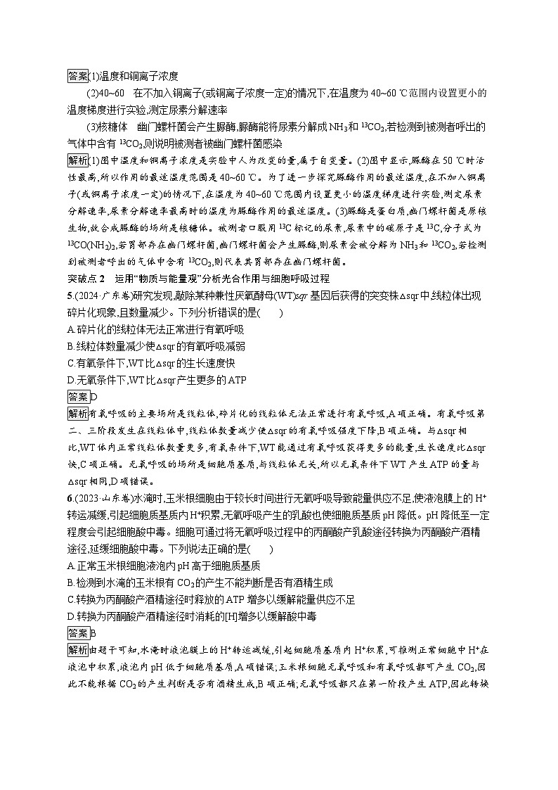备战2025年高考二轮复习生物(河北版)大单元2 细胞的生存需要能量和营养物质 层级二关键突破提升练(Word版附解析)03